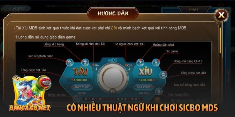 Tài xỉu MD5 là gì? Gợi ý cách chơi giúp tăng tỷ lệ thắng 6 Có nhiều thuật ngữ khi chơi sicbo MD5