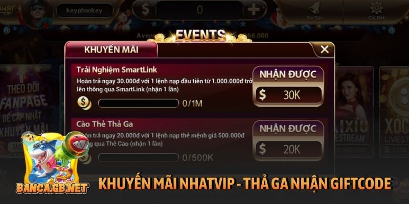 Khuyến mãi Nhatvip - Ưu đãi đặc quyền cho tất cả người chơi 5 Khuyến mãi Nhatvip - thả ga nhận giftcode