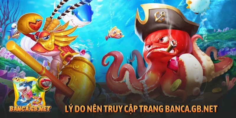 Lý do nên truy cập trang massagenl.nl