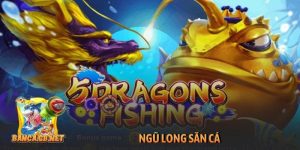 Ngũ Long săn cá